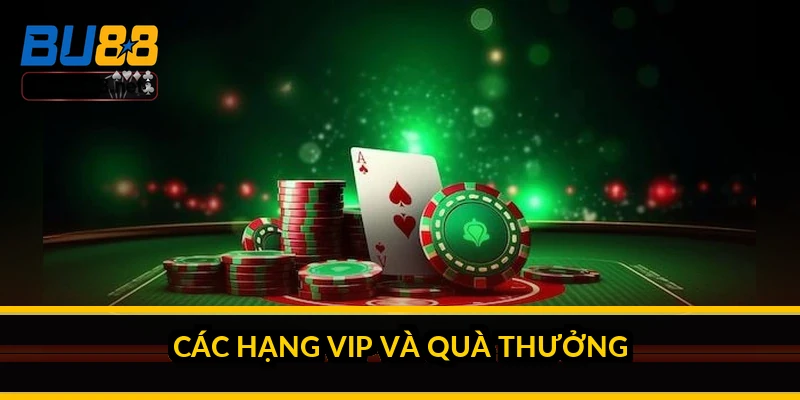 Đua TOP VIP nhận quà khủng: cách leo hạng và điều cần cân nhắc 2 Các hạng VIP và quà thưởng