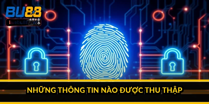 Chính sách bảo mật BU88: dữ liệu của bạn được xử lý ra sao? 1 Những thông tin nào được thu thập?