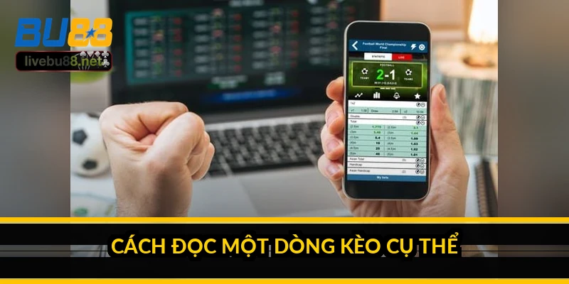 Cách đọc một dòng kèo cụ thể