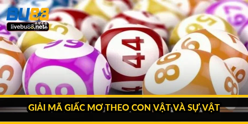 Sổ mơ lô đề: giải mã giấc mơ và sự thật đằng sau 4 Giải mã giấc mơ theo con vật và sự vật